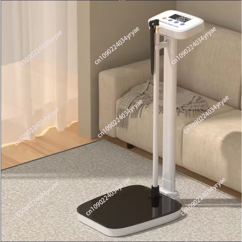 Smart body scale connection AP - đánh giá và giá Digital Body Weight Scale