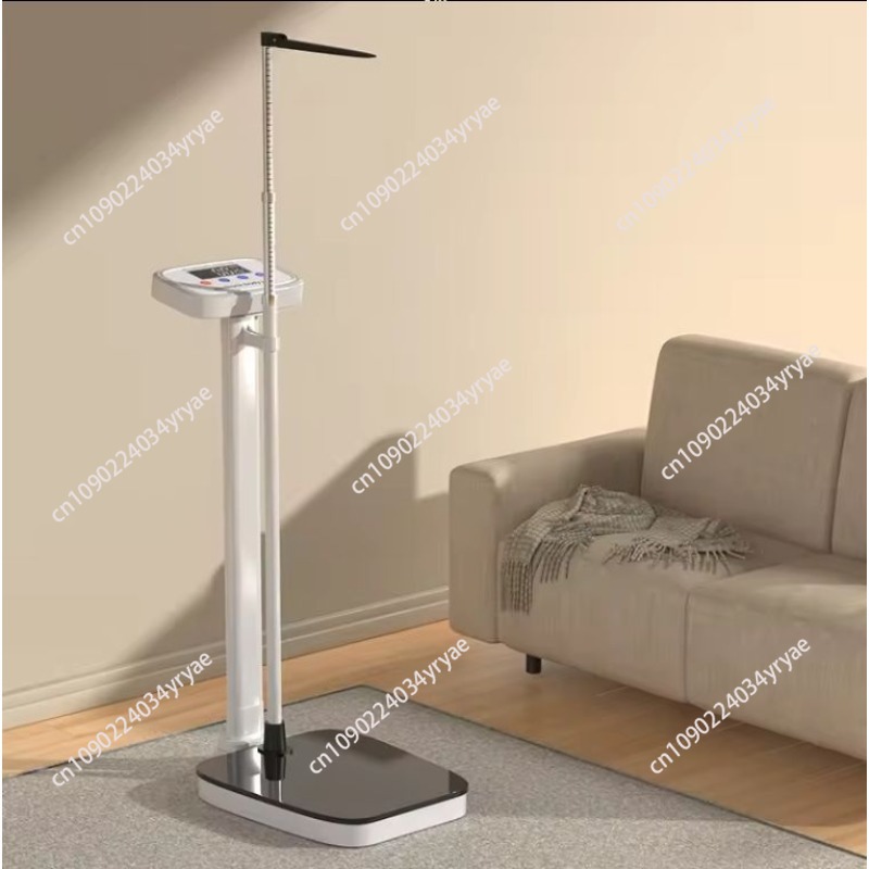 Smart body scale connection AP - đánh giá và giá Digital Body Weight Scale