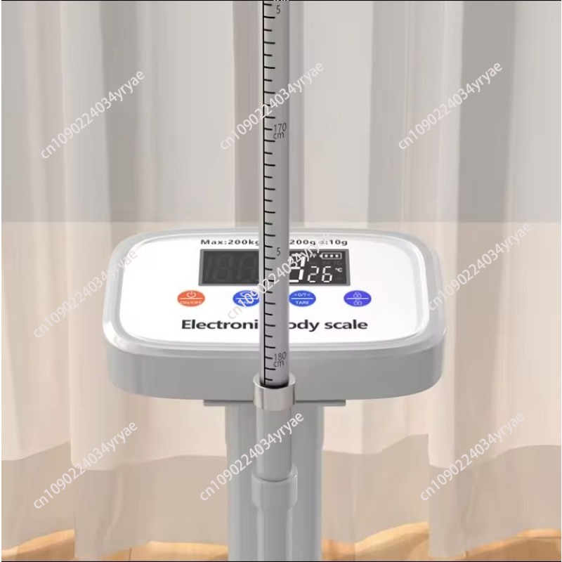 Smart body scale connection AP - đánh giá và giá Digital Body Weight Scale
