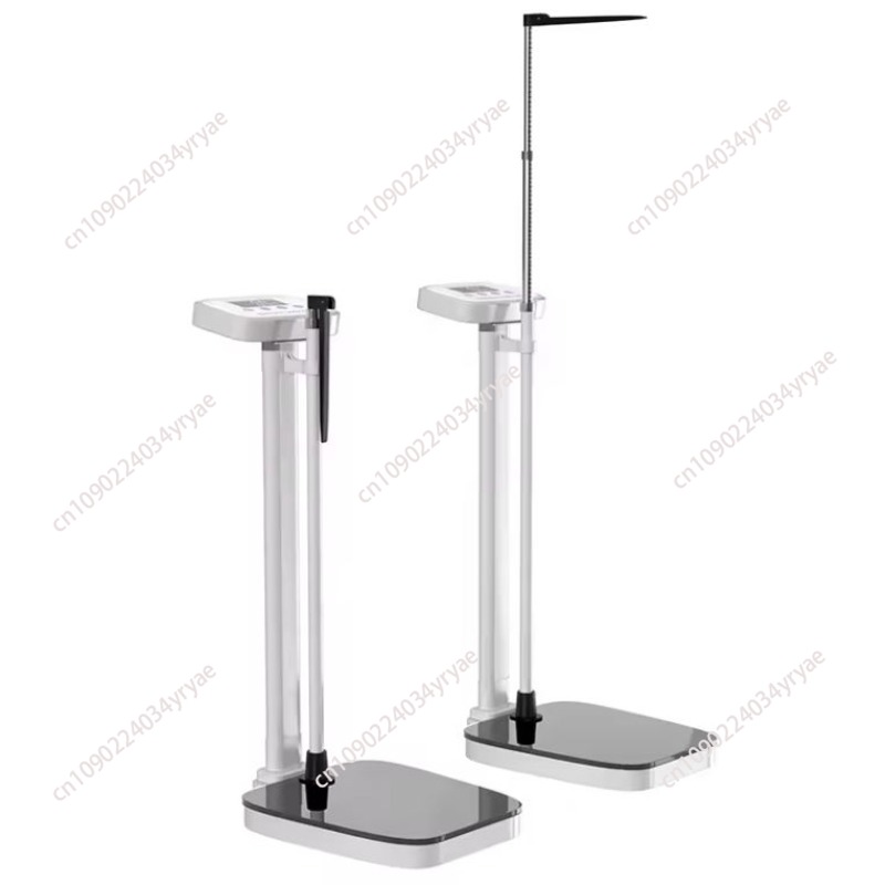 Smart body scale connection AP - đánh giá và giá Digital Body Weight Scale