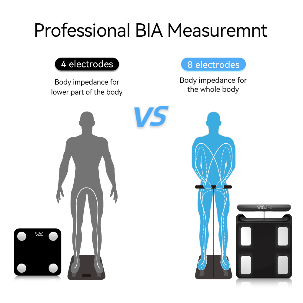 Smart Scale for Body Weight, F - đánh giá và giá Digital Body Weight Scale