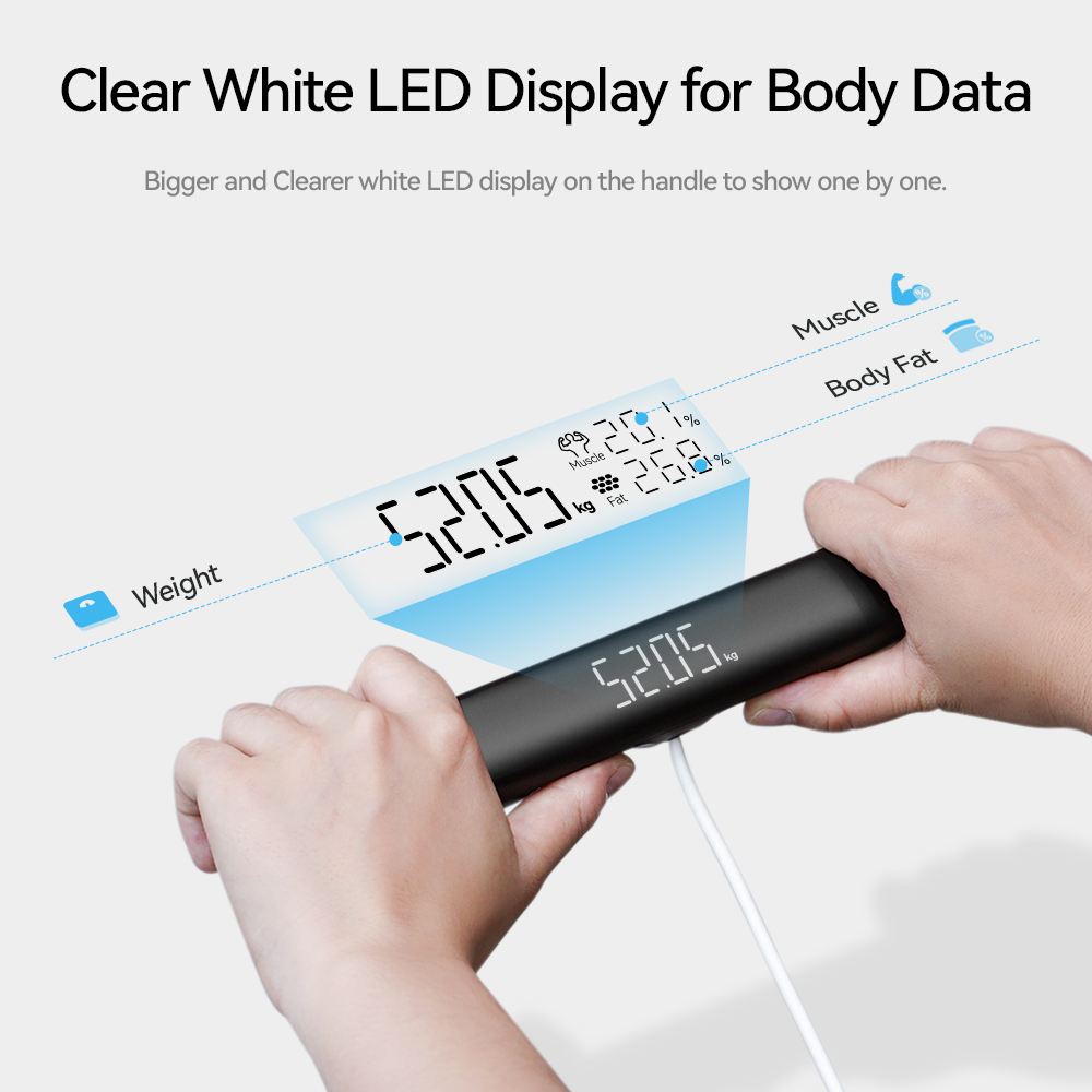 Smart Scale for Body Weight, F - đánh giá và giá Digital Body Weight Scale