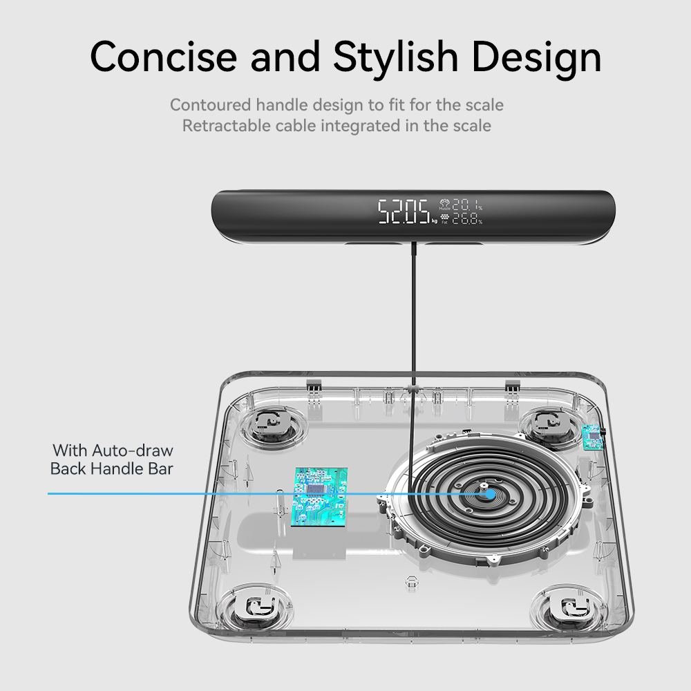 Smart Scale for Body Weight, F - đánh giá và giá Digital Body Weight Scale