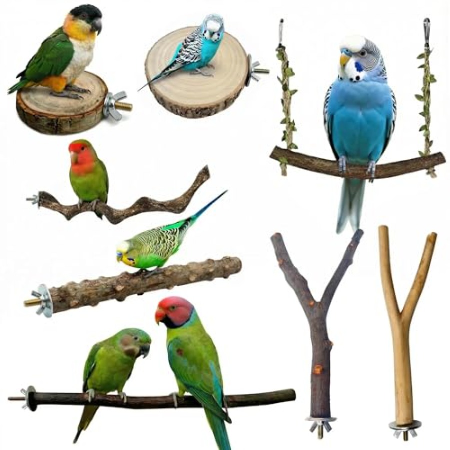 8PCS natural wood bird perches - đánh giá và giá Health & Wellness Rehab