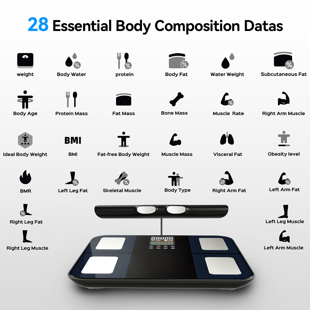 Smart Digital Body Composition - đánh giá và giá Digital Body Weight Scale