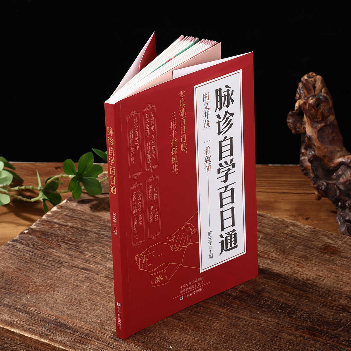 Pulse Diagnosis Self Study Hun - đánh giá và giá Health & Wellness Rehab