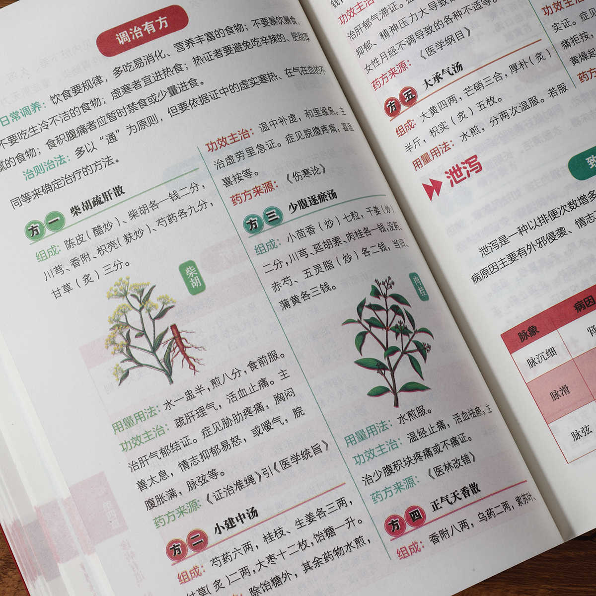 Pulse Diagnosis Self Study Hun - đánh giá và giá Health & Wellness Rehab